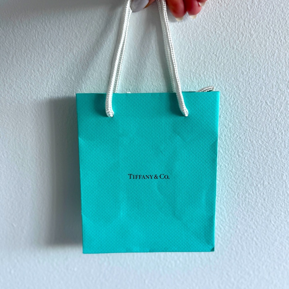 Small Tiffany and Co. Gift Bag